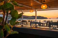 Oyster-restaurant-13