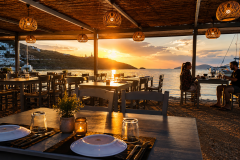 Oyster-restaurant-3