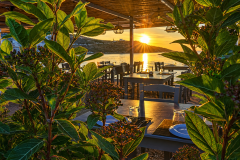 Oyster-restaurant-5